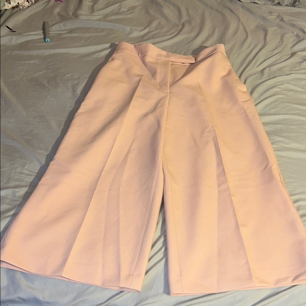 Zara Blush Wide-Leg Trousers